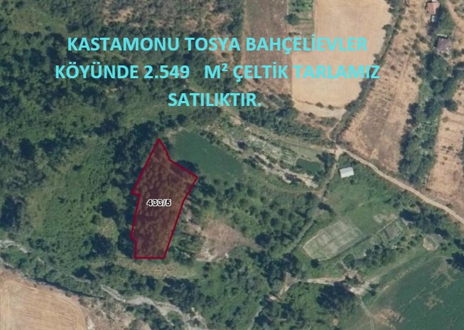 KASTAMONU TOSYA BAHÇELİEVLER KÖYÜNDE 2.549   M² ÇELTİK TARLAMIZ SATILIKTIR.  - KASTAMONU TOSYA fotoğraf 5